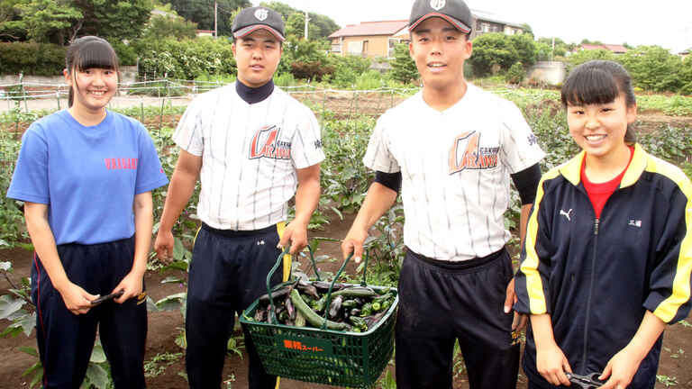 野菜作りで強さ育む 浦和学院の食育は 明るい農村 スタイル 浦学 上 アスリートめし アスレシピ