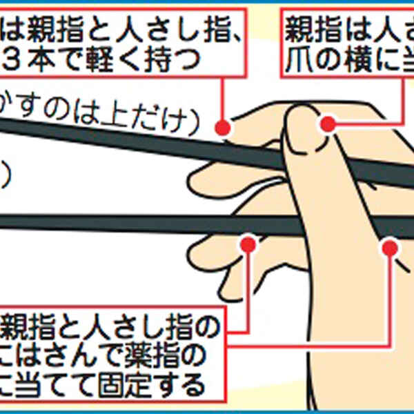 下は固定で上だけ動かす 箸を正しく使えますか 知ると得する栄養雑学 豆知識 アスレシピ