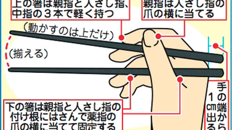 下は固定で上だけ動かす 箸を正しく使えますか 知ると得する栄養雑学 豆知識 アスレシピ