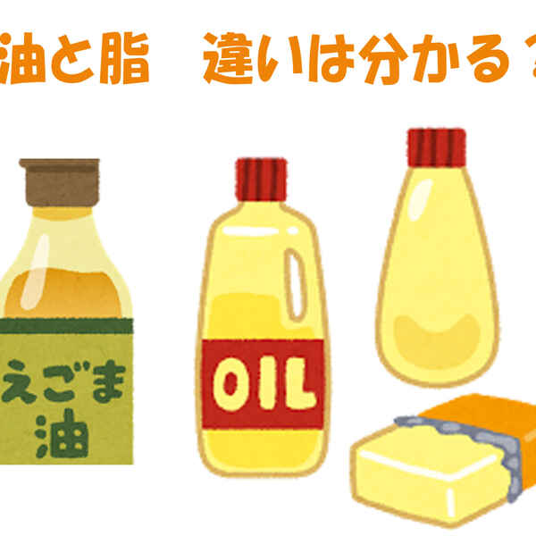 油 と 脂 違いを知っていますか 知ると得する栄養雑学 豆知識 アスレシピ