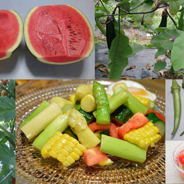 木耳 陸蓮根 何と読む 漢字クイズにトライ 夏野菜 果物編 知ると得する栄養雑学 豆知識 アスレシピ