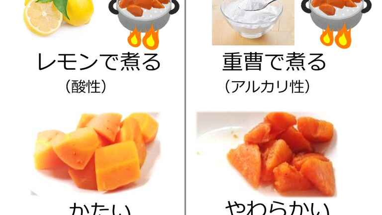 Phとも関係 大豆と煮るとニンジンは軟らかくなる キッチンは実験室 ６ 下 ママ特派員 サポーターから アスレシピ