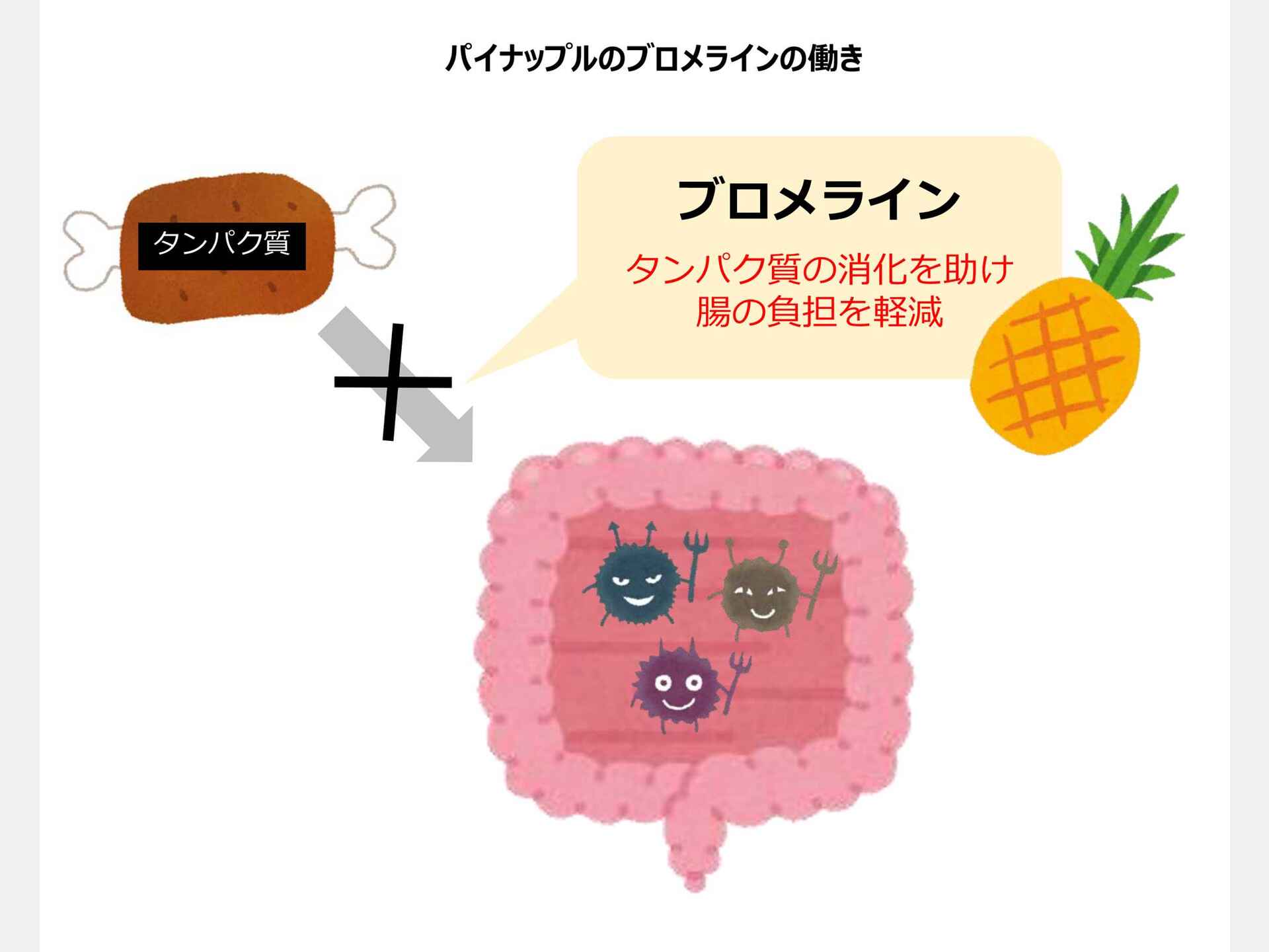 パイナップルの酵素パワーで胃の負担軽減、タンパク質を分解ブロメライン アスリートめし：アスレシピ