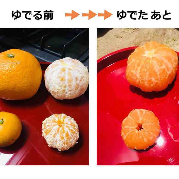 ミカンの薄皮がきれいにとれる理由 キッチンは実験室 ９ 上 ママ特派員 サポーターから アスレシピ