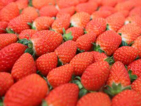 ビタミンｃたっぷり イチゴは野菜なのか果物なのか 知ると得する栄養雑学 豆知識 アスレシピ