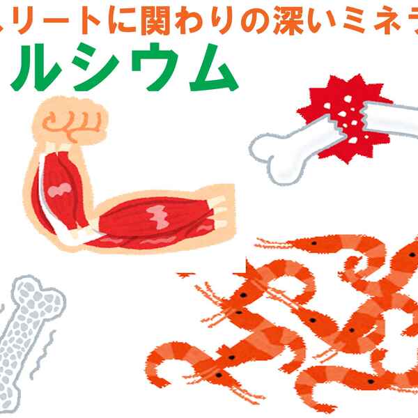 骨だけじゃないカルシウムの必要性 過剰摂取も危険 知ると得する栄養雑学 豆知識 アスレシピ