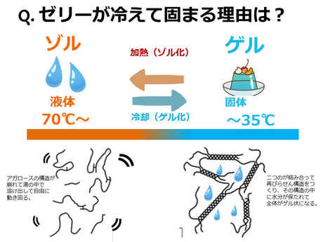 固まる科学 寒天とゼラチンの使い分け キッチンは実験室 15 上 ママ特派員 サポーターから アスレシピ