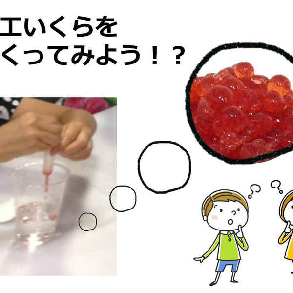 ねばねばに秘密 とろろ昆布が 人工イクラ に変身 キッチンは実験室 16 ママ特派員 サポーターから アスレシピ