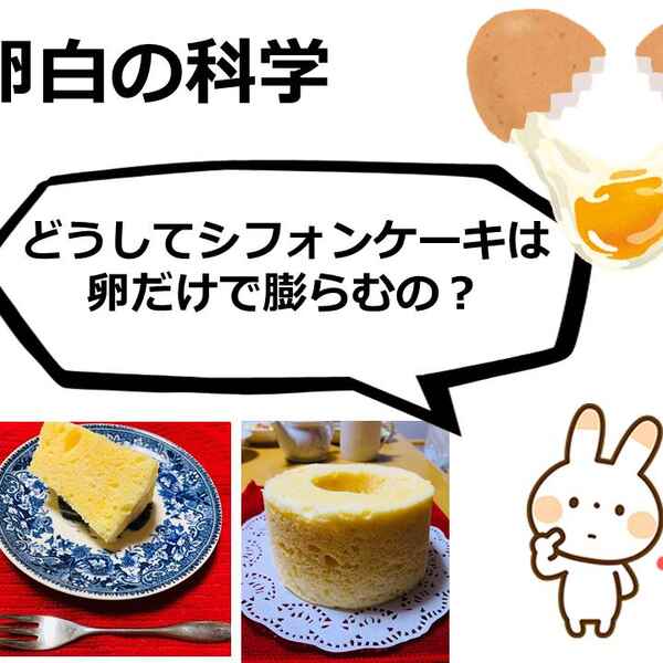 卵白が泡立つのはどうして メレンゲがもっちりする理由 キッチンは実験室 33 ママ特派員 サポーターから アスレシピ