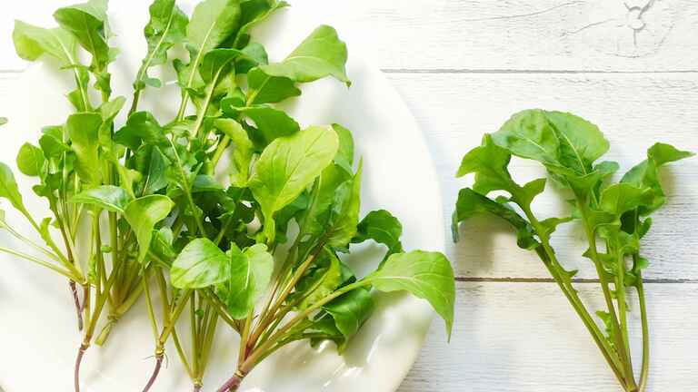 Bカロテンはじめビタミン ミネラル豊富 チーズと合わせて吸収率アップ ルッコラ 知ると得する栄養雑学 豆知識 アスレシピ