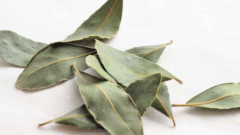 肉や魚の臭み取り保存性高める 煮込むことで味わいに深み ローリエ 知ると得する栄養雑学 豆知識 アスレシピ