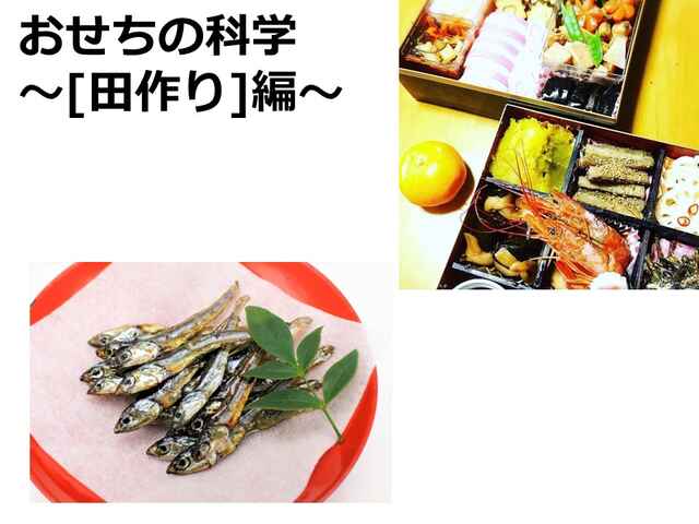 おせちの定番田作りを失敗しないで作るコツ キッチンは実験室 45 ママ特派員 サポーターから アスレシピ