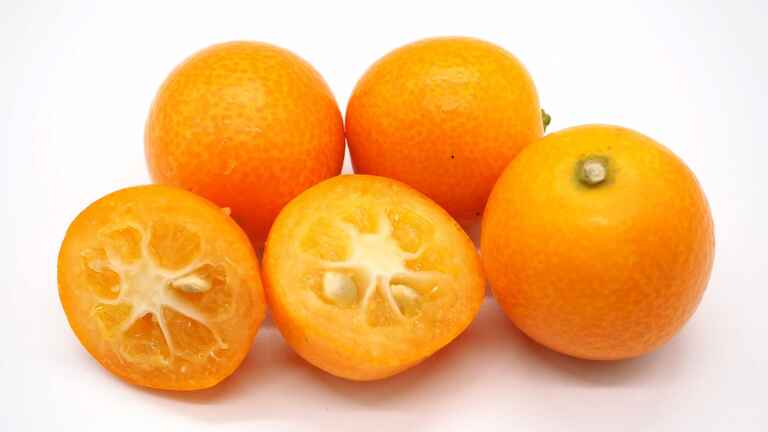 のど飴でもおなじみ 咳を鎮めのどの痛みを緩和 キンカン 知ると得する栄養雑学 豆知識 アスレシピ