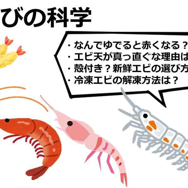 加熱するとエビが赤くなる理由 買うなら頭付きがいいのか キッチンは実験室 50 上 アスレシピ特派員 サポーターから アスレシピ