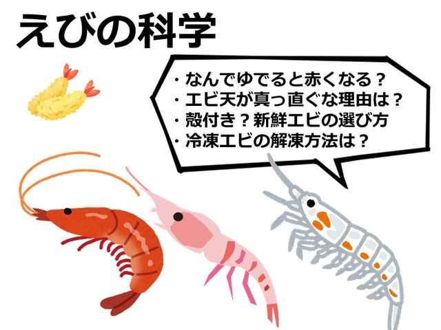 加熱するとエビが赤くなる理由 買うなら頭付きがいいのか キッチンは実験室 50 上 ママ特派員 サポーターから アスレシピ