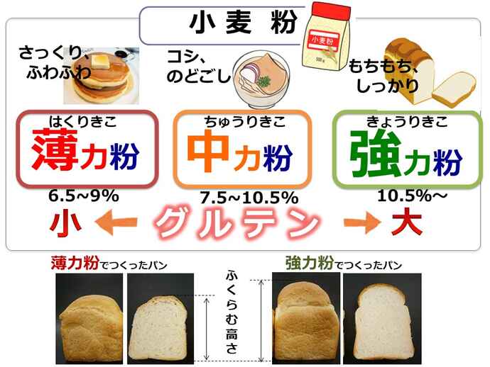 触れば分かる薄力粉と強力粉、小麦粉の性質と違い/キッチンは実験室(53) アスレシピ特派員・サポーターから:アスレシピ 触れば分かる薄力粉と強力粉、小麦粉の性質と違い/キッチンは実験室(53) アスレシピ特派員・サポーターから:アスレシピ