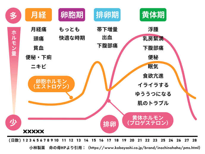 子宮頸部をチェックする前に