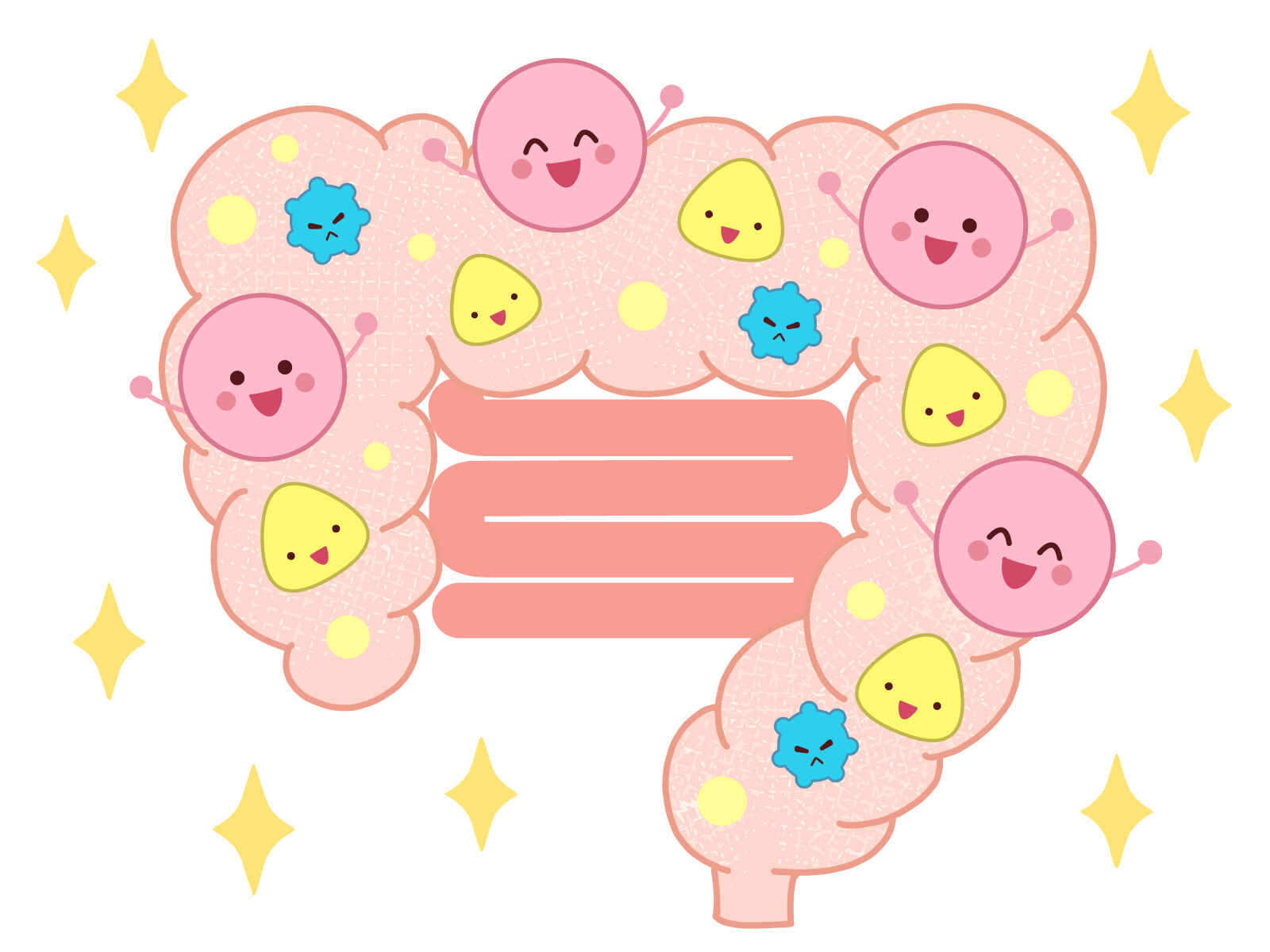 エンテロフィゴンのリーフレット